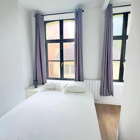 Apartmán Cosy Appart- 4 Pers Netflix Hyper Centre *